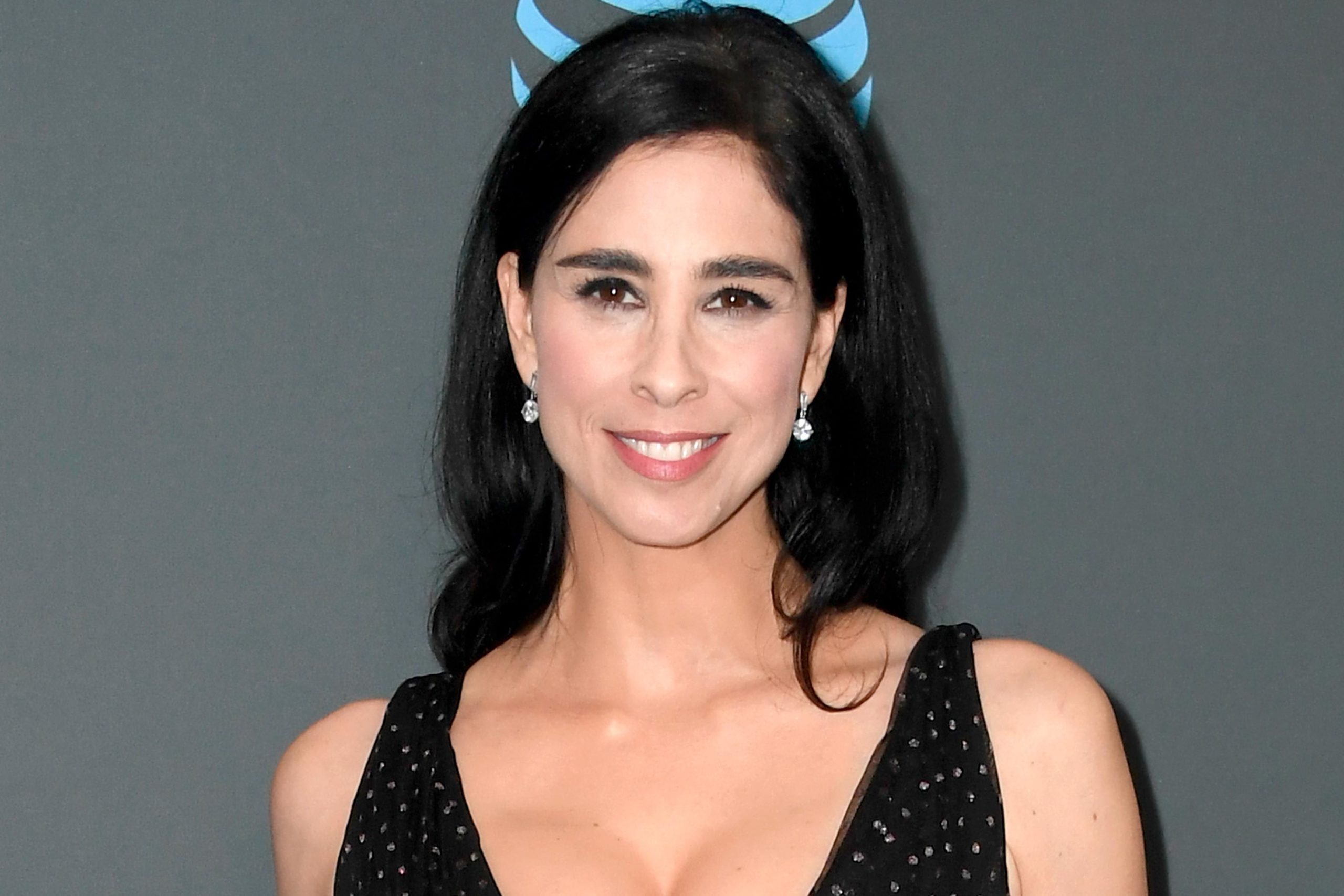 Read more about the article Boken The Bedwetter av Sarah Silverman